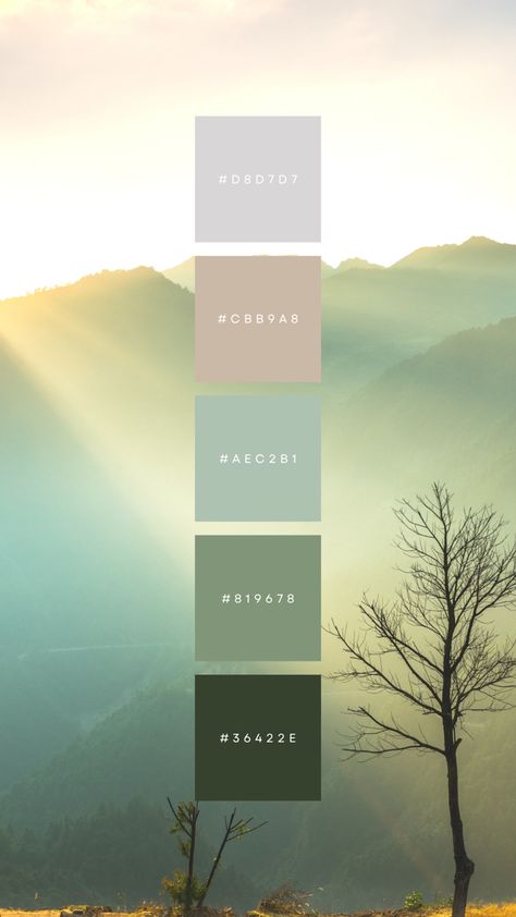 Healing Colors Palette, Color Palette Spiritual, Zen Garden Color Palette, Growth Color Palette, Serene Color Palette, Gym Color Palette, Healing Color Palette, Succulent Color Palette, Zen Color Palette