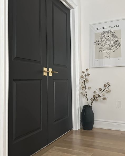 If opportunity doesn’t knock, build a door - a pretty one!🤩 🎨✨ By adding a fresh coat of black paint and new brass hardware you can instantly elevate your home’s style. 🖤🔑 This easy DIY project creates a chic, modern look that feels both sophisticated and timeless. Simply paint your doors with a sleek black finish and replace the existing hardware with elegant brass pieces. The result? A stunning contrast that adds depth and a touch of luxury to any room. 🏡✨ #HomeDecor #DIY #InteriorDesign... Black Door With Brass Hardware, Black Interior Doors With White Trim Gold Hardware, Black House Doors Interior, Black Doors Gold Hardware, Black Door Gold Hardware, Black Hallway Doors, Black Interior Front Door, Black Doors Interior, Farmhouse Hardware