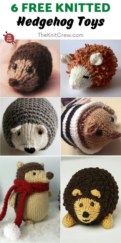 6 Free Knitted Hedgehog Toy Patterns. These Free Knitted Hedgehog Toy Patterns are curated by The Knit Crew. Hedgehog Knitting Pattern, Crocheted Hedgehog Pattern Free, Knitted Hedgehog Pattern Free, Knitted Bee Pattern Free, Hedgehog Knitting Pattern Free, Knitted Hedgehog, Hedgehog Ideas, Hedgehog Toys, Christmas Knitting Projects