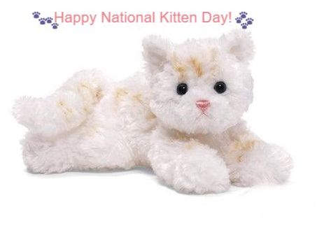 🐾 Happy National Kitten Day! 🐾 Meet Bootsie! This adorable little plush kitten and many other cuddly friends are here to make your day extra special. Whether you're a cat lover or just adore all things cute and fluffy, Bootsie is the perfect companion to celebrate with. 🌟 Get your own Bootsie plushie and other adorable friends today at The Country Christmas Loft! 🌟 #NationalKittenDay #MeetBootsie #PlushieLove #CuteCompanions #AdoptACuddle #countrychristmasloft #gottagettagund #gottagetagun... Cat Stuffed Animal, Cat Plush Toy, Stuffed Animal Cat, Animal Cat, Kawaii Plushies, Cat Plush, All Things Cute, Cute Plush, Cat Toy