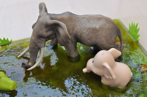 Use gelatin mixed with water to create an African swamp crossed be elephants. Sensory bin ingredients: gelatin, water, rocks, tree branch, foam grass and toy animals. Safari Sensory Bin, Zoo Sensory, Toys Topic, Rumble In The Jungle, Toy Animals, Central Africa, Kids Sensory, Animal Habitats, Sensory Bin