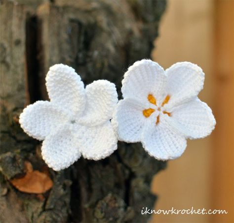 two plumeria flowers in tree Crochet Plumeria, Crochet Puff Flower, Crochet Hack, Crochet Flowers Free Pattern, Plumeria Flowers, Crocheted Flowers, Crochet Wedding, Crochet Plant, Knitted Flowers