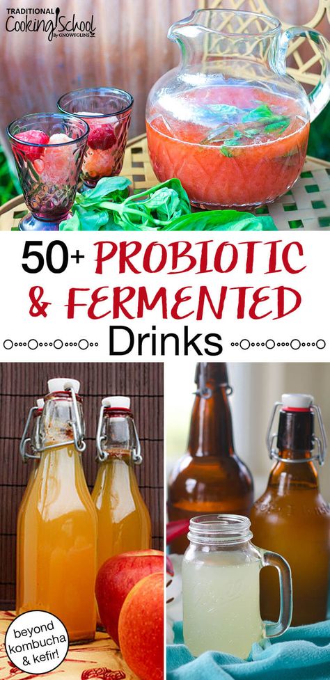 Probiotic Smoothie, Resep Vegan, Ginger Soda, Homemade Rootbeer, Fermented Drinks, Homemade Sour Cream, Kombucha Recipe, Blueberry Banana Smoothie, Fermented Veggies