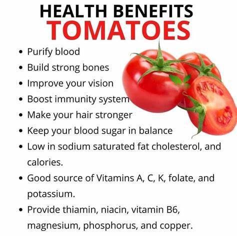 Health Benifits of tomatoes Benefits Of Tomatoes, Tomato Benefits, Health Benefits Of Tomatoes, Clean Smoothies, Food For Kidney Health, Fruit Health Benefits, Vegetable Benefits, Food Health Benefits, Fruit Benefits