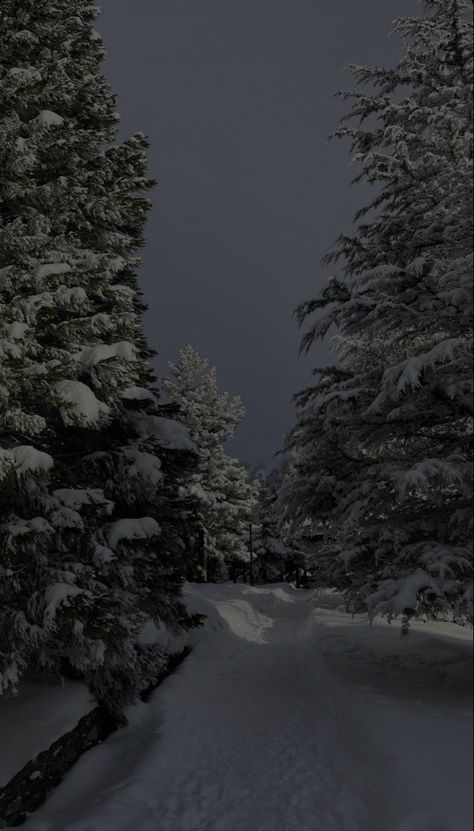 Phone Wallpaper Snow, Dark Winter Aesthetic Wallpaper, Dark Christmas Aesthetic Wallpaper, Snowfall Aesthetic, Winter Forest Wallpaper, Snowing Aesthetic Wallpaper, Snow Wallpaper Iphone, Christmas Lockscreen, Eerie Places