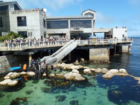 Aquarium Exterior - Great Tide Pool Aquarium Exterior, Aquarium Entrance, Dinosaur Enclosure, Aquarium Building, Zoo Inspiration, Zoo Tycoon, Aquarium Architecture, Zoo Ideas, Tide Pool