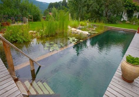 Luxury Pools Indoor, Swimming Ponds, Swimming Pool Pond, Natural Swimming Ponds, Swimming Pond, Natural Pond, Natural Swimming Pools, Luxury Pools, Natural Swimming Pool