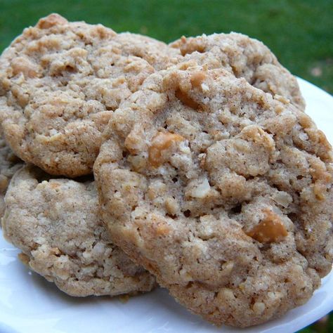 Orange's Famous Oatmeal Scotchies! Outrageous Cookies, Butterscotch Cookies Recipes, Butterscotch Chip Cookies, Oatmeal Scotchies, Oatmeal Butterscotch Cookies, Crunch Cookies, Coconut Baking, Butterscotch Cookies, Lace Cookies