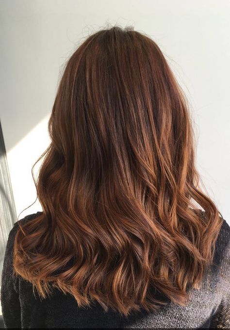 Red Highlights In Brown Hair, Pumpkin Hair, Chestnut Hair, Chestnut Hair Color, Color Balayage, Blonde Hair Inspiration, New Hair Colors, Hair Color Balayage, Hair Inspo Color