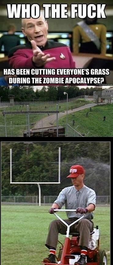 The Walking Dead Forrest Gump Memes, Walking Dead Funny, Walking Dead Zombies, Walking Dead Memes, Dead Memes, Evil Dead, Zombie Apocalypse, Bones Funny, Resident Evil