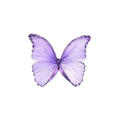 Backgrounds Purple, Purple Tattoos, Purple Animals, Ara Ara, Rainbow Butterfly, Butterfly Kisses, Purple Love, Png Icons, Purple Violet