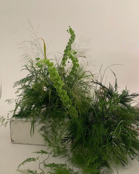 Out Of Stalk on Instagram: “Grass patch🩹 Behind the scenes for @augustman” Moss Installation, Greenery Installation, Green Ceremony, Grass Installation, Evergreen Wedding, Grass Bouquet, Greenery Arrangements, Grass Flower, Grass Wedding