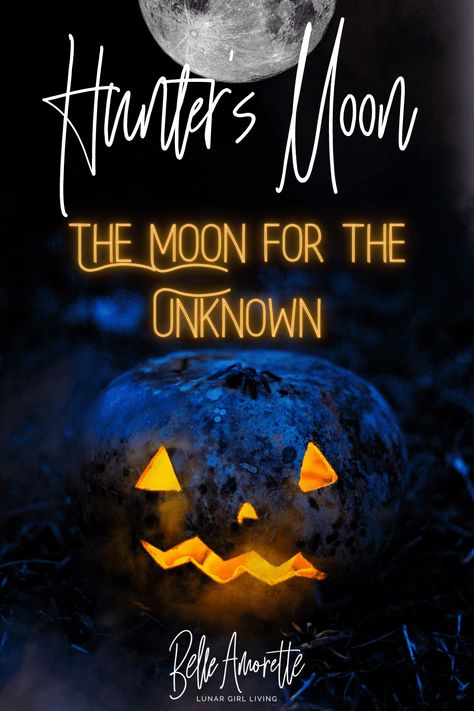 This October has so much energy! For Moon lovers, the Hunter’s Moon is a time for healing and exploring the unknown. It is a time to look for balance and connection. Learn more about the October Hunter’s Moon and the energy available for the new beginnings that await + Moon Activities we can try throughout the month! #fullmoonritual #fullmoonastrology #Fullmoonmanifesting #mooncyclemanifesting #fullmoonenergy #fullmoonmagic #moonwitch Moon Activities, Lunar Witch, Witchy Women, Cold Moon, Next Full Moon, Moon Magick, Witch Tips, Wiccan Crafts, Moon Astrology