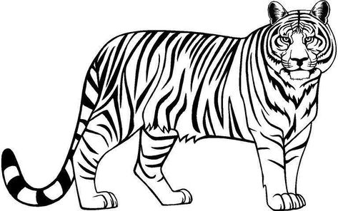 Tiger clip arts images free download black and white background Tiger Clipart Black And White, Easy Tiger Drawing, Tiger Coloring Pages, Tiger Stencil, Farm Animals For Kids, Tiger Clipart, Zoo Animal Coloring Pages, Tiger Sketch, Motif Jungle