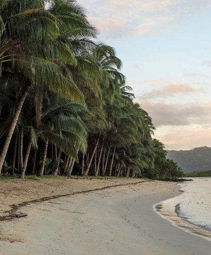 Abandoned Island Aesthetic, Deserted Island Aesthetic Dark, Remote Island Aesthetic, Island Survival Aesthetic, Stuck On A Deserted Island Aesthetic, Deserted Island Aesthetic, Skin Of The Sea, Stranded Island, Island Kingdom