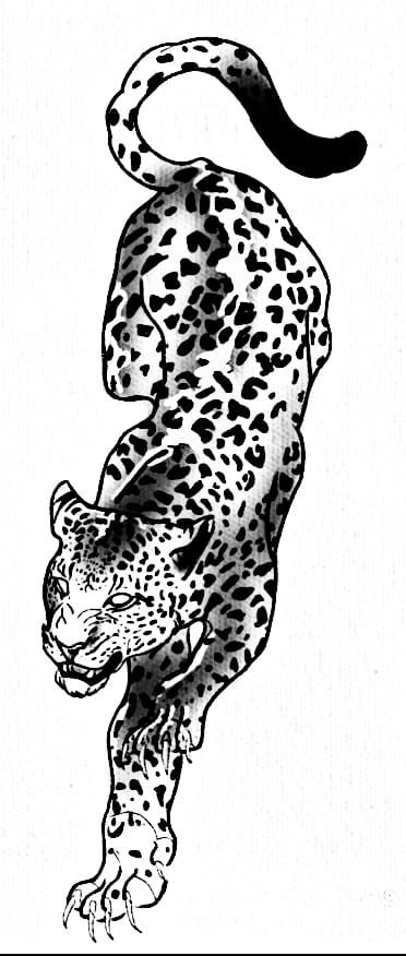 Realism Leopard Tattoo, Leopard Tattoo Stencil, Clouded Leopard Tattoo, Leopard Print Tattoo, Snow Leopard Tattoo, Leopard Print Tattoos, Leopard Tattoo, Leopard Tattoos, Easy Disney Drawings