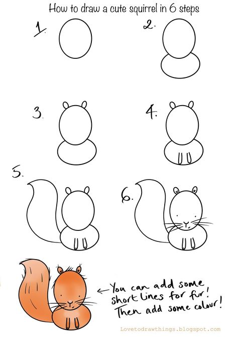 Draw A Squirrel, Drawing Squirrel, Trin For Trin Tegning, Ako Kresliť, How To Draw Cute, Easy Step By Step Drawing, Easy Animal Drawings, Draw Easy, Draw Cute