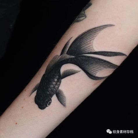 Red Tattoos, Instagram Tattoo, Body Piercings, Muscat, Blackwork Tattoo, Animal Tattoos, Black And Grey Tattoos, Inspirational Tattoos, Tattoo Sketches