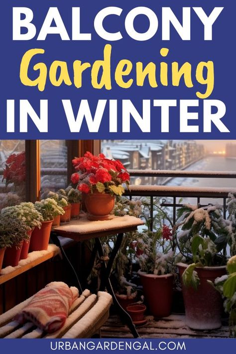 balcony plants covered in snow in winter Gardening In Winter, Winter Balcony, Condo Balcony, Balcony Gardening, Winter Gardening, Balcony Flowers, Balcony Plants, Winter Plants, Cosy Winter