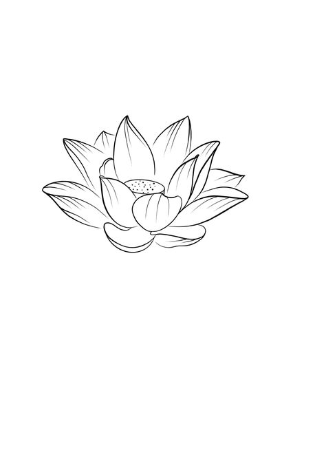 Line Art Lotus Flower, Lotus Flower Pattern Design, Lotus Outline Drawing, Water Lily Line Tattoo, Lotus Flower Line Tattoo, Lotus Flower Tattoo Japanese, Lotus Flower Drawing Sketches, Lotus Flower Tattoo Drawing, Lotus Drawing Tattoo