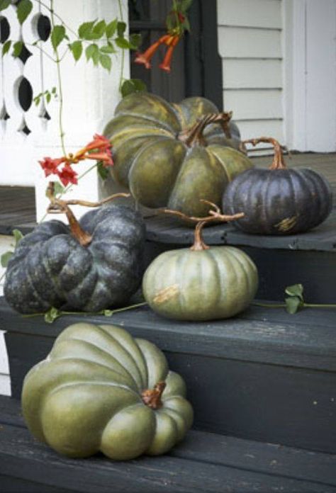 Pumpkins Dekoratívne Vence, Thanksgiving Pumpkins, Pumpkins And Gourds, Pumpkin Display, Green Pumpkin, Autumn Decorating, Fabulous Fall, Fall Porch, Fall Holidays