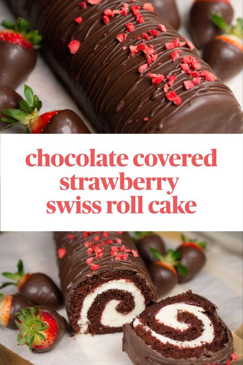 Chocolate covered swiss roll cake adorned with freeze dried strawberries and surrounded by actual chocolate-covered strawberries Chocolate Swiss Roll Cake, Strawberry Swiss Roll, Strawberry Roll Cake, Chocolate Swiss Roll, Pumpkin Rolls Recipe, Swiss Roll Cake, Chocolate Strawberry Cake, Chocolate Covered Strawberry, Swiss Roll