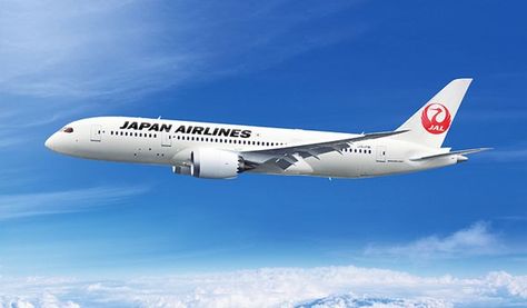 JAL Travel Bassinet, Boeing 787 8, Japan Airlines, Boeing 787 Dreamliner, Boeing Aircraft, Boeing 767, Airbus A380, Air Plane, Boeing 787