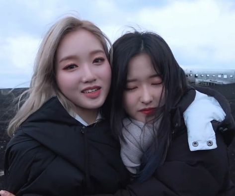 hyewon lq olivia hye and gowon loona Pretty Candy, Gowon Loona, I Miss My Family, Pale Blue Dot, Excited To See You, Sisters By Heart, Candy Girl, Odd Eyes, Olivia Hye