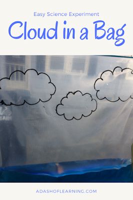 Cloud in a Bag: Easy Science Experiment Cloud Science Preschool, Cloud Activity Preschool, Cloud Activities For Toddlers, Clouds Activities For Kids, Cloud Experiment, Cloud Experiments, Weather Experiments, Weather Activities Preschool, Cloud Activities