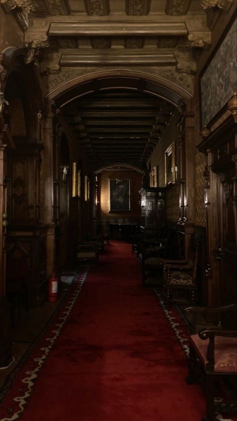 Academia House, Kino Box, Castle Aesthetic, Have Inspiration, Dark Academia Aesthetic, Academia Aesthetic, Gothic House, Red Aesthetic, Dream Home Design