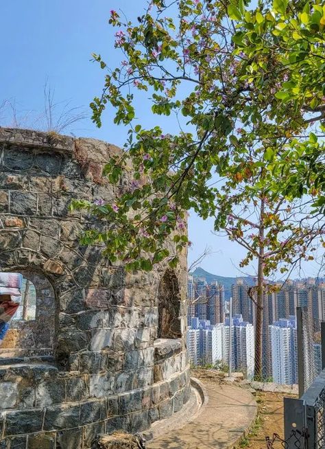 Mau Wu Shan Bunker | Things to Do in Tseung Kwan O | Things to do in Hong Kong | Hong Kong hike | New Territories Hong Kong Sai Kung, Victoria Harbour, Hiking Routes, Country Park, Outdoor Hiking, Outdoor Adventures, Fun Things, Clear Water, Day Trip