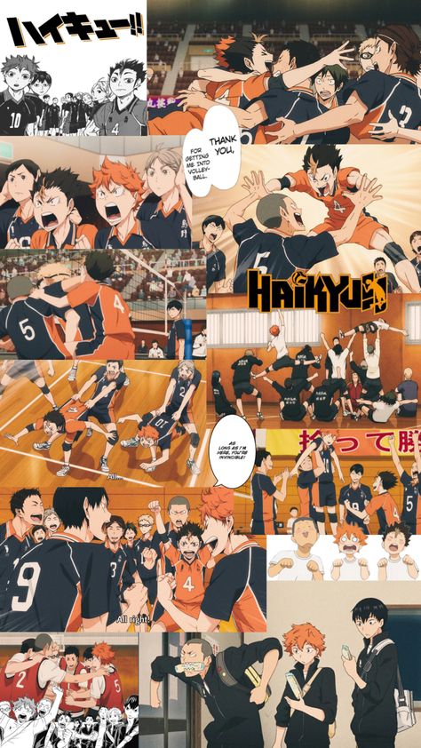 All Haikyuu Teams Wallpaper, Haikyuu Profile Picture, Karasuno Wallpaper, Volleyball Wallpapers, Volleyball Wallpaper, Anime Wallpaper 1920x1080, Team Wallpaper, Haikyuu Volleyball, Anime Mobile