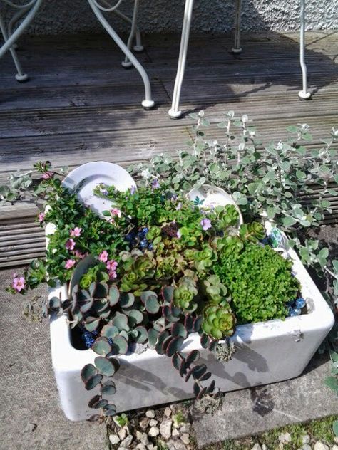 Sink Planter Ideas, Belfast Sink Planter, Belfast Sink Garden Planter, Belfast Sink Garden, Dinosaur Garden, Garden Sink, Water Gardens Pond, Alpine Garden, Belfast Sink