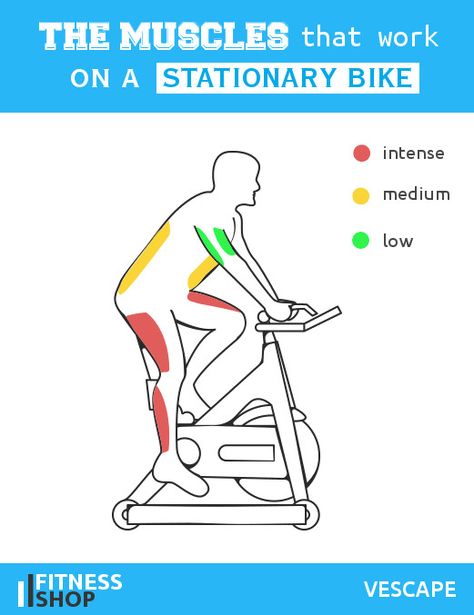 Muscles work on stationary bike Stationary Bike Benefits, Cycling Muscles, Stationary Bike Workout, Cycling Benefits, Stationary Bicycle, Spin Bike Workouts, Bicycle Workout, Spinning Workout, Swimming Tips