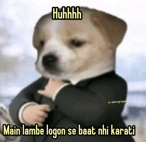 Dog In A Suit, Funny Faces Quotes, Funny Compliments, Funny Images With Quotes, Lame Jokes, Dry Sense Of Humor, Funny Dialogues, Funny Words To Say, Desi Humor