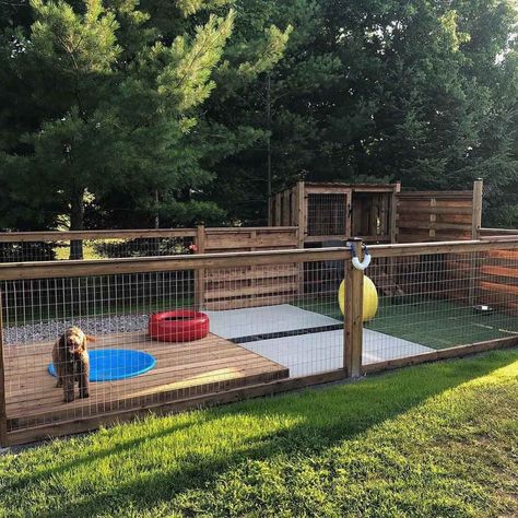 Outdoor Dog Kennel Ideas, Dog Kennel Ideas, Outdoor Dog Area, Diy Dog Run, Outdoor Dog Runs, Backyard Dog Area, Dog Play Area, Kennel Ideas Outdoor, Luxury Dog Kennels