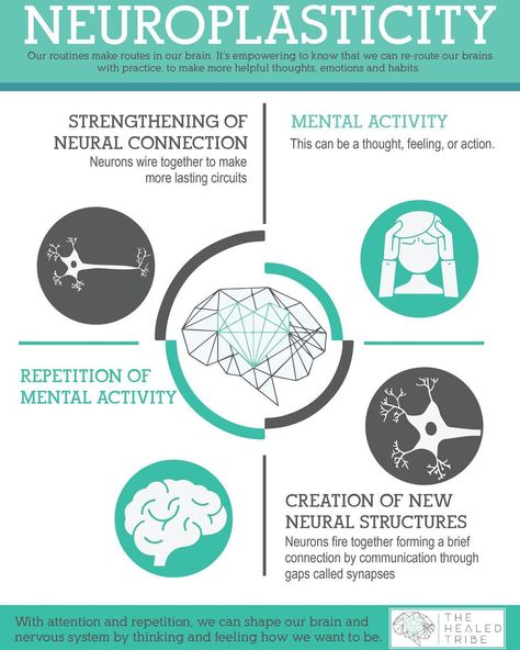 Brain Chat’s Instagram photo: “Neuroplasticity from @the.healed.tribe 🧠🧠🧠 https://www.thehealedtribe.com/blog/2020/1/15/limbic-system-hypersensitivity-pain-fatigue-…” Limbic System Retraining, Limbic System Brain, Neural Plasticity, Neuroplasticity Exercises, Endocrine System Hormones, Brain Chemicals, Neural Pathways, Multiple Chemical Sensitivity, Psychology Notes