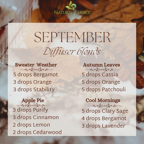 September Diffuser Blends, Happy Fall Diffuser Blends, Fall Difusser Recipes, Fall Allergy Diffuser Blend, Fall Scents For Diffuser, Fall Defuser Blend, Fall Evening Diffuser Blend, Diffuser Cleaning, Candle Blends