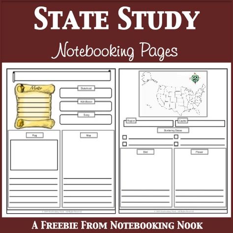 Here's a set of notebooking pages for studying the 50 states. Third Grade Social Studies, Notebooking Pages, Us Geography, Geography Activities, Teaching Geography, States And Capitals, 5th Grade Social Studies, Homeschool Geography, Homeschool Social Studies