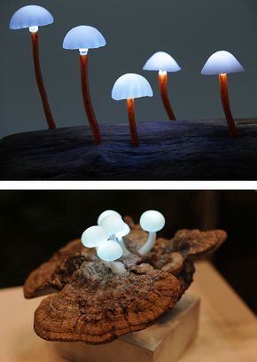 LED Mushroom Lights by Yukio Takano (Japan) Led Mushroom Lights, Blitz Design, Mushroom Lights, Deco Nature, Deco Originale, Deco Luminaire, Cool Lamps, Handmade Lamps, Mushroom Lamp