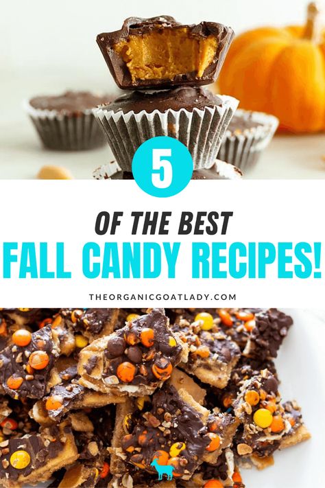 Best Fall Candy Recipes! - The Organic Goat Lady Bake Sale Candy Ideas, Fall Candy Treats, Easy Fall Candy Recipes, Fall Candy Ideas, Fall Candy Recipes, Fall Bake Sale Ideas, Thanksgiving Recipes Make Ahead, Fall Bake Sale, Fall Pies Recipes