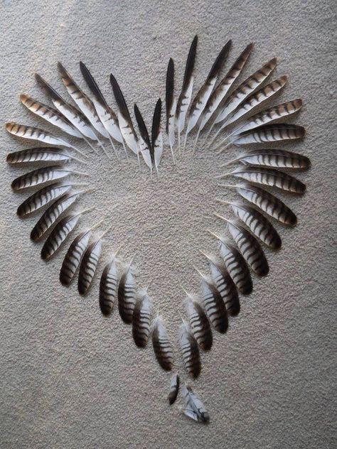 . Diy Paper Feathers, Feathers Crafts Ideas, Crafts To Do With Feathers, Parrot Feather Crafts, Duck Feather Crafts, Feather Display Ideas, Chicken Feather Crafts, Turkey Feather Crafts, Feather Project