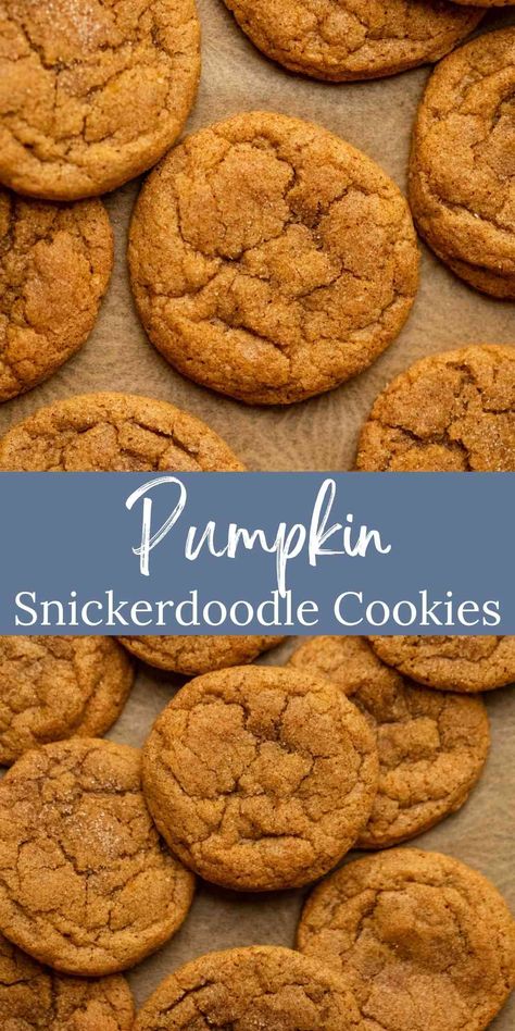 Pumpkin Snickerdoodles are soft and chewy pumpkin spice cookies. These tasty cookies get an extra bump of flavor from brown butter and plenty of pumpkin pie spice. Pumpkin Snickerdoodle Cookie Recipe, Pumpkin Snickerdoodle Cookies, Pumpkin Spice Cookie Recipe, Pumpkin Shaped Cookies, Spice Cookie Recipes, Spice Sugar Cookies, Pumpkin Pie Cookies, Fall Cookie Recipes, Pumpkin Snickerdoodles