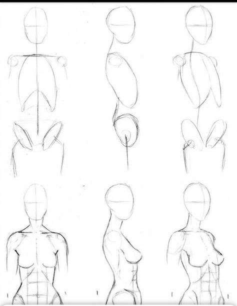 Body Structure Drawing Human Figures, Body Block Sketch, How To Draw A Figure Step By Step, Torso Sketch Female, Anatomy Drawing Woman, Drawing Anime Bodies, Human Body Drawing, Drawing Female Body, Art Painting Tools