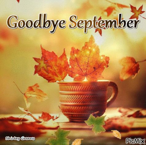 Good Bye September Quotes, Goodbye September Quotes, Good Bye September Hello October, Good Bye September, Goodbye September Hello October, Bye September, Goodbye September, Happy New Month Messages, September Born