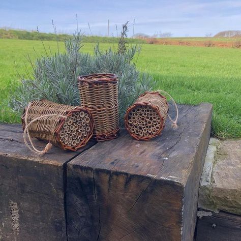 Stone Willow craft on Instagram: "I have a new product to share with you. Willow and bamboo bee hotel Sizes are approximate Length 7 inches (18cm) Diameter 4.5 inches (11cm) + hanging twine. 1 £30 2 £55 3 £76 Prices include 2nd class p&p It is also available as part of a conservation set Bee hotel Bird feeder Hedgehog pond ramp The colour of the bird feeder will be randomly selected unless preference is stated, Approximately 19 inches + hanging string Bee hotel 7 inches long Hedg Basket Willow, Willow Garden, 9th Wedding Anniversary, Bee Hotel, Bee House, Willow Weaving, Wedding Anniversary Presents, Mothering Sunday, Bee Farm