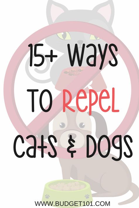 Dog Repellent Spray, Aphid Control, Raspberry Canes, Slugs In Garden, Organic Insecticide, Natural Repellent, Cat Repellant, Organic Pesticide, Sweet Gum