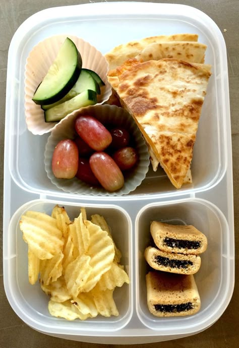 Cold Lunch Ideas, Kids Packed Lunch, Cold Lunch, Lunch Planning, Easy Lunch Ideas, Ideas Lunch, Cold Lunches, Family Lunch, Toddler Lunches