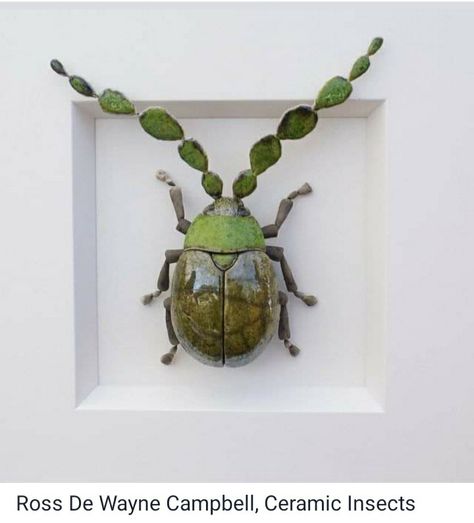 Wayne Campbell, Fence Toppers, Bug Art, Sculptures Céramiques, Beautiful Bugs, Insect Art, Ceramics Pottery Art, Ceramic Animals, Bugs And Insects