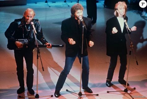 Bee Gees Lyrics, Bee Gees Live, Robin Pictures, The Bee Gees, Barry Gibb, Pop Photos, Song Artists, Singing Videos, Bee Gees